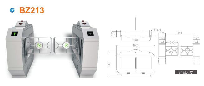 济南摆闸BZ213